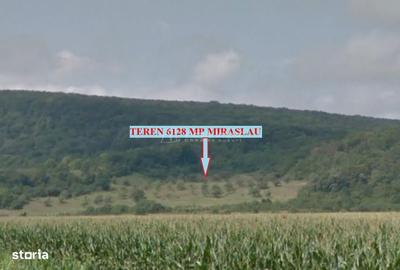 Spațiu comercial, în Mirăslău - 8