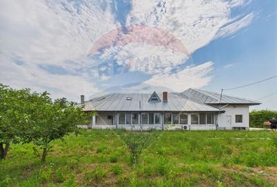 Proprietate specială, de 937 mp, în Dragomirești-Deal - 3