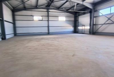 Spațiu industrial, de 440 mp, în Domnești - 5