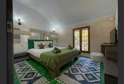 Casa de vacanta superba in Crivaia - 10