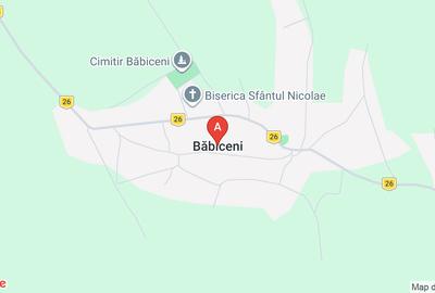 Teren agricol extravilan de 8150 mp, în Băbiceni - 1