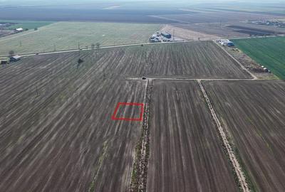 RECO Teren intravilan in LIvada de Bihor - 2