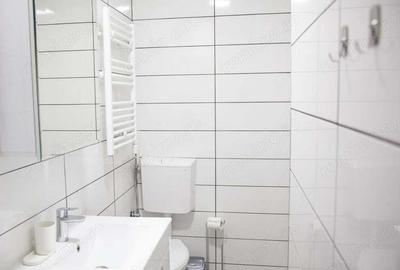 Garsoniera de inchiriat in zona Aurel Vlaicu - 2