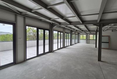 Spatiu comercial 125 mp utili + 100 mp terasa - Basarabia - Muncii - 3