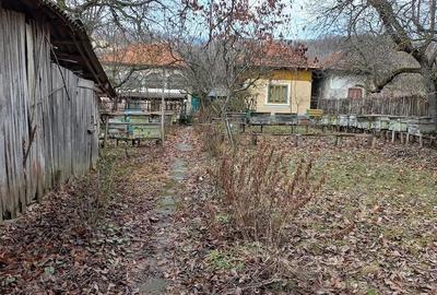 Casă cu 2 camere cu Teren 3000 Mp în Drăghici - 7