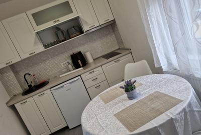 Apartament 2 camere de inchiriat zona Prima Shop - 8