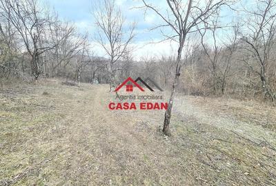 Teren de 3448 mp, în Provița de Jos - 8