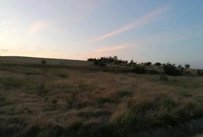 Teren de 2800 mp, în Central - 1