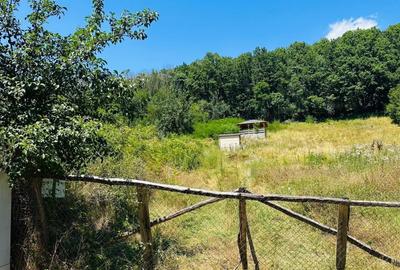 Spațiu comercial, în Enculești - 2