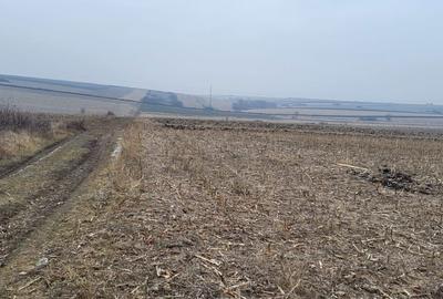 Spațiu comercial, în Central - 6