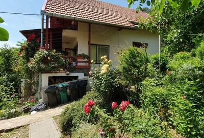 Casă cu 6 camere cu Teren 1000 Mp în Eșelnița - 8