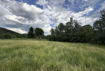 Teren Construcții intravilan de 3800 mp, în Provița de Sus - 7