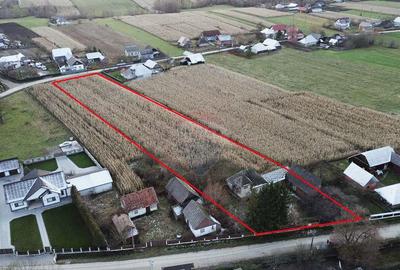 Casa de vanzare in Com Fratautii Noi - 12