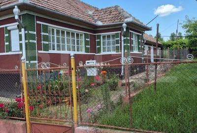 Casă cu 4 camere cu Teren 5450 Mp în Central