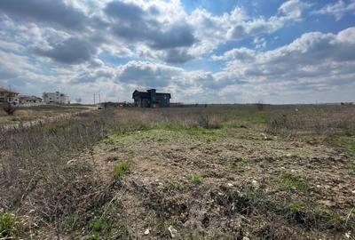 Teren Construcții intravilan de 855 mp, în Mogoșoaia - 1