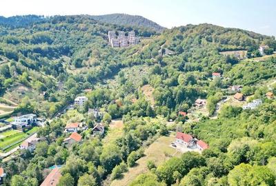 Teren intravilan Brasovul Vechi - 8