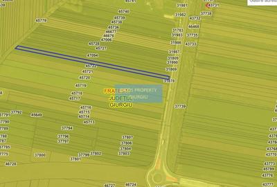 Teren extravilan 5000 mp – deschidere DN5 - 2