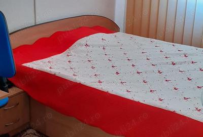 Apartament cu 3 camere decomandat în Central - 2