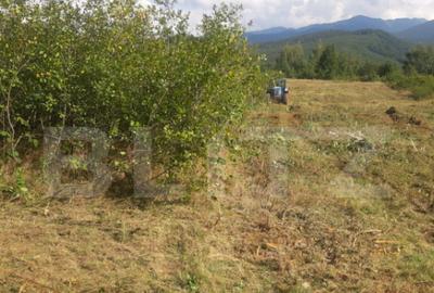 Teren extravilan 3300 mp, Car?i?oara- Set - 6