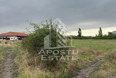 Teren de 707 mp, în Săcălaz