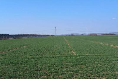 Teren de 3334 mp, în Central - 4