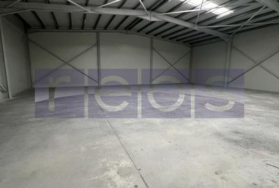 Spatiu industrial/ Depozit de inchiriat in Chiajna - 8