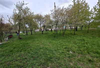 Casă cu 2 camere în Mateieni - 8