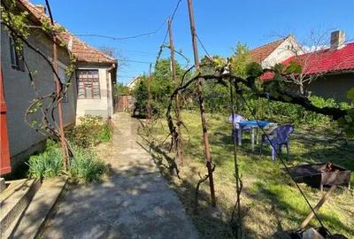 Casă cu 3 camere cu Teren 3000 Mp în Biharia