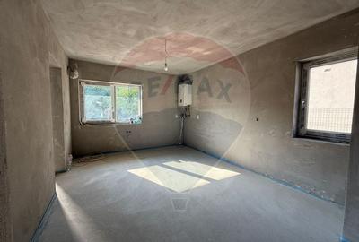 Casa cu 4 camere la gri de vanzare in Sura Mare - 4