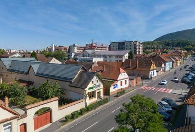 Cladire generoasa P+E+M, ideala pentru afaceri si locuit confortabil! - 3