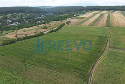 Teren de 3.600 mp Racova - 3