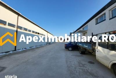 Spațiu comercial, de 1,800 mp, în Xenia - 4