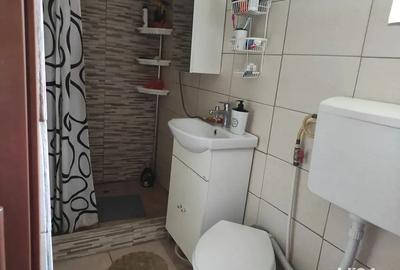 Casa de vanzare in Secaseni - 6