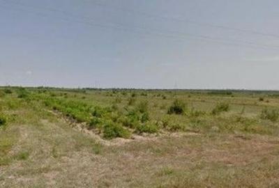 Teren extravilan cota parte 1/3 Cernatesti , ID: R2586146 - 2