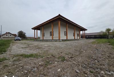 Casă cu Teren 1400 Mp în Valea Nucarilor - 8