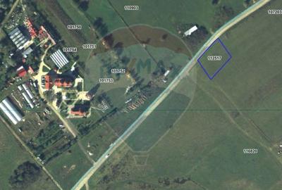 Teren agricol extravilan de 1650 mp, în Șelimbăr - 3