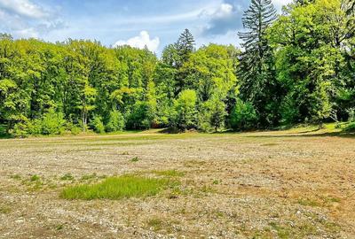 Teren intravilan - 4