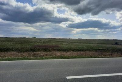 Teren extravilan de 13000 mp, în Sânmihaiu Român - 2