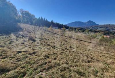 Teren de 2346 mp, în Poiana Mărului - 4