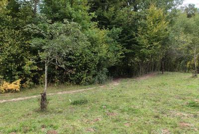 Casă cu 3 camere în Vârfurile - 6