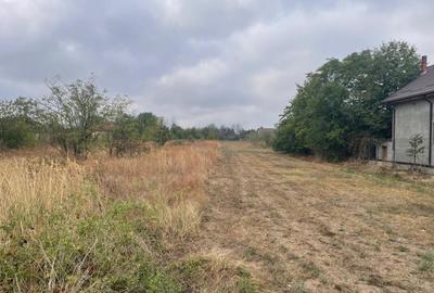 Teren Centru Clinceni - 3