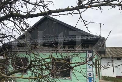 Casă cu 3 camere cu Teren 3400 Mp în Vulturești - 4
