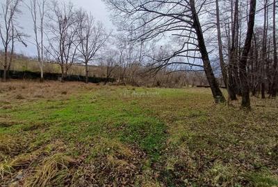 Resita, Teren Drept Intravilan, Langa Prau si Drum, Parcelabil, 4500 Mp., 15 Euro Mp., Renk - 6