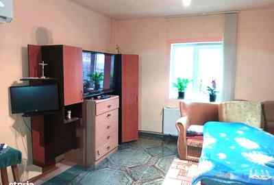 Casă cu 6 camere cu Teren 2880 Mp în Șagu - 10