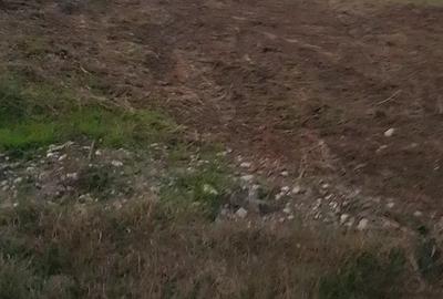 Spațiu comercial, în Domnești - 1