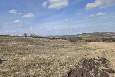 Teren agricol extravilan de 11500 mp, în Pata - 2