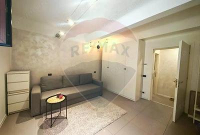 Garsoniera renovata complet - Locotenent Dumitru Lemnea 3 - 11