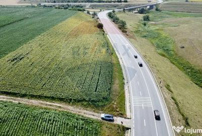 Teren de 3500 mp, în Ilișești - 1