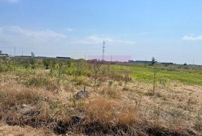 Teren agricol intravilan de 1686 mp, în Domnești - 2