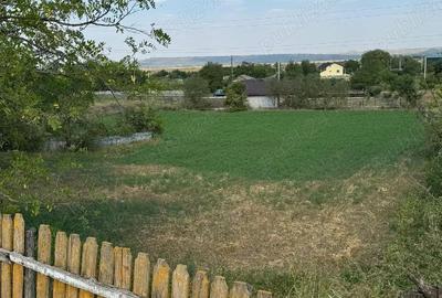 Teren de 1538 mp, în Bălteni - 1
